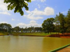 Galerías del Panamá Claro