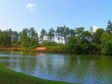 Galerías del Panamá Claro