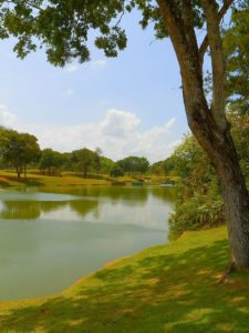 Galerías del Panamá Claro