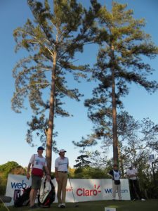 Galerías del Panamá Claro