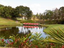 Galerías del Panamá Claro