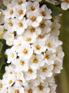 Momentos del 17º Abierto Internacional Jockey Club Rosario