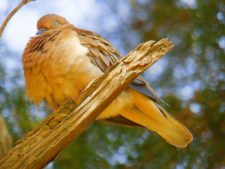 Momentos del 17º Abierto Internacional Jockey Club Rosario