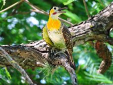 Imágenes de una Edición Memorable