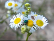 Imágenes para la historia del US Open