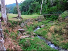 De que vuelan vuelan…! Invitacional Damas de Halloween!