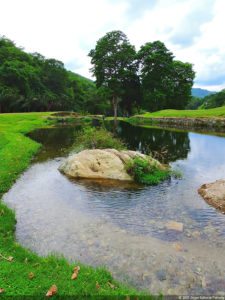 De que vuelan vuelan…! Invitacional Damas de Halloween!