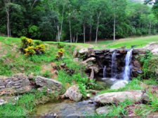 De que vuelan vuelan…! Invitacional Damas de Halloween!