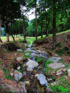 De que vuelan vuelan…! Invitacional Damas de Halloween!