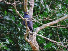 De que vuelan vuelan…! Invitacional Damas de Halloween!