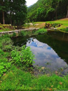 De que vuelan vuelan…! Invitacional Damas de Halloween!