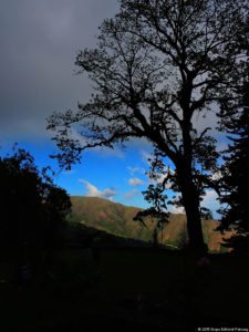 La Sucursal del Cielo