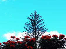 La Sucursal del Cielo