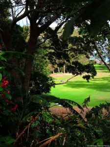 La Sucursal del Cielo