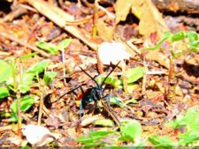 La Sucursal del Cielo