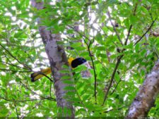 La Sucursal del Cielo