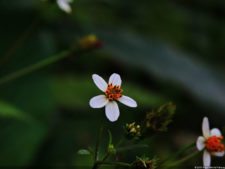 La Sucursal del Cielo