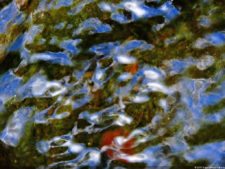 La Sucursal del Cielo