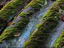 La Sucursal del Cielo