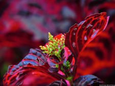 La Sucursal del Cielo