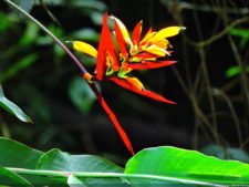 La Sucursal del Cielo