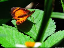 La Sucursal del Cielo