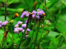 La Sucursal del Cielo