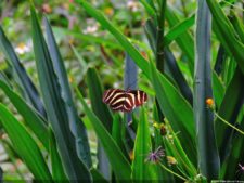 La Sucursal del Cielo