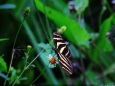 La Sucursal del Cielo