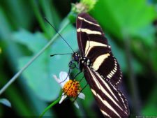 La Sucursal del Cielo