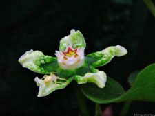 La Sucursal del Cielo