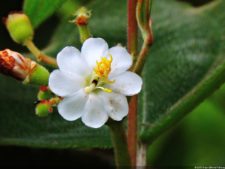 La Sucursal del Cielo