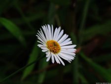 La Sucursal del Cielo