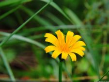 La Sucursal del Cielo