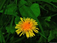 La Sucursal del Cielo