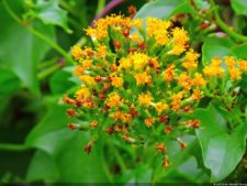 La Sucursal del Cielo