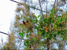 La Sucursal del Cielo