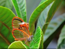 La Sucursal del Cielo