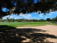 Latin America Championship 2016 selección domingo