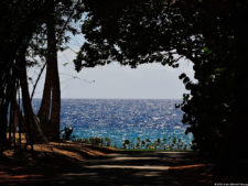 Latin America Championship 2016 selección domingo