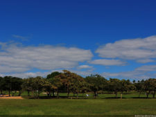 Latin America Championship 2016 selección domingo