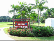 Latin America Championship 2016 selección jueves