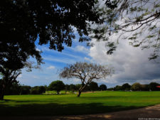 Latin America Championship 2016 selección jueves