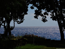 Latin America Championship 2016 selección jueves