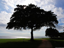 Latin America Championship 2016 selección jueves