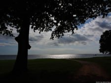 Latin America Championship 2016 selección jueves