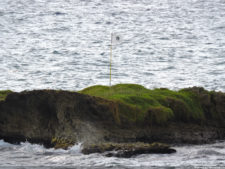 Latin America Championship 2016 selección jueves