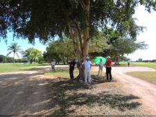 Latin America Championship 2016 selección sábado