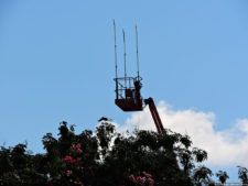 Latin America Championship 2016 selección viernes