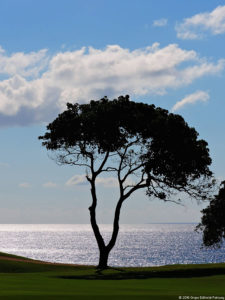 Latin America Championship 2016 selección viernes